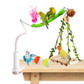 ZooVibe Bird Perch with Swing, Movable Desktop Stand with Clamp