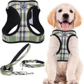 PUPTECK Adjustable Dog Harness Collar and Leash Set Step in No Pull Pet Harness for Small Medium Dogs Puppy and Cats Outdoor Walking Running, Soft Mesh Padded Reflective Vest Harnesses, Grn&YLW, L