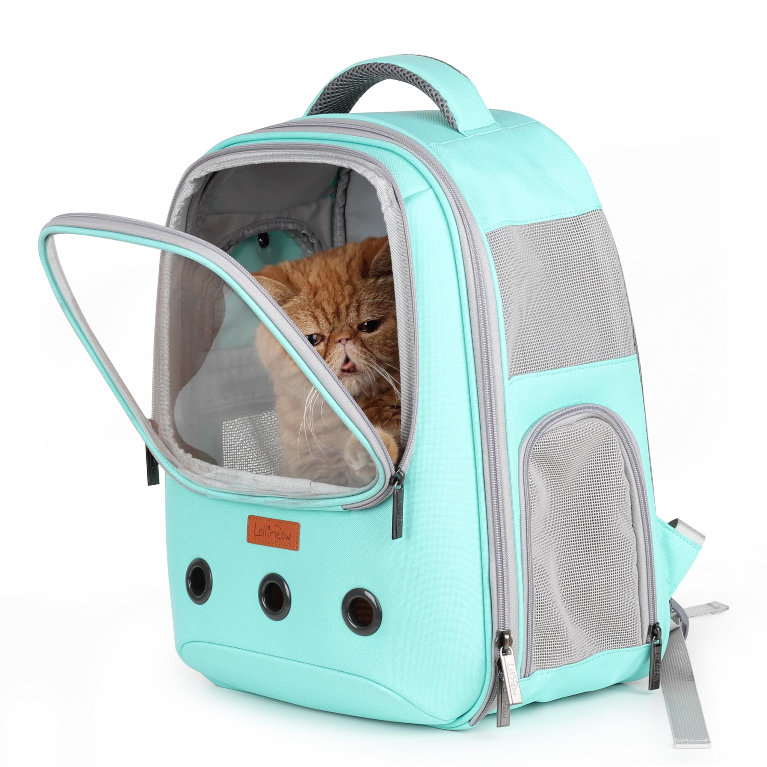 Lollimeow Pet Carrier Backpack, Bubble Backpack Carrier, Cats and Puppies,Airline-Approved, Designed for Travel, Hiking, Walking & Outdoor Use (Green)