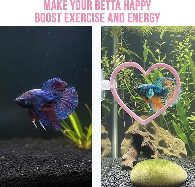 CTWPets Heart Betta Ring, Enrichment Toy & Pink Fish Tank Decor, 2 Pack