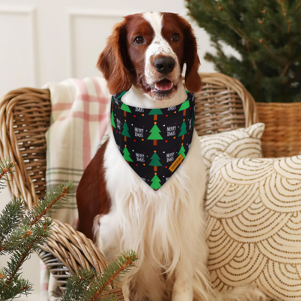 THLOH Christmas Dog Bandanas with Snap Button - 2 Pack Reversible Santa Claus Dog Scarf for Boy & Girl, Dog, Christmas Tree Holiday Bandana for Medium and Large Dogs (Large)