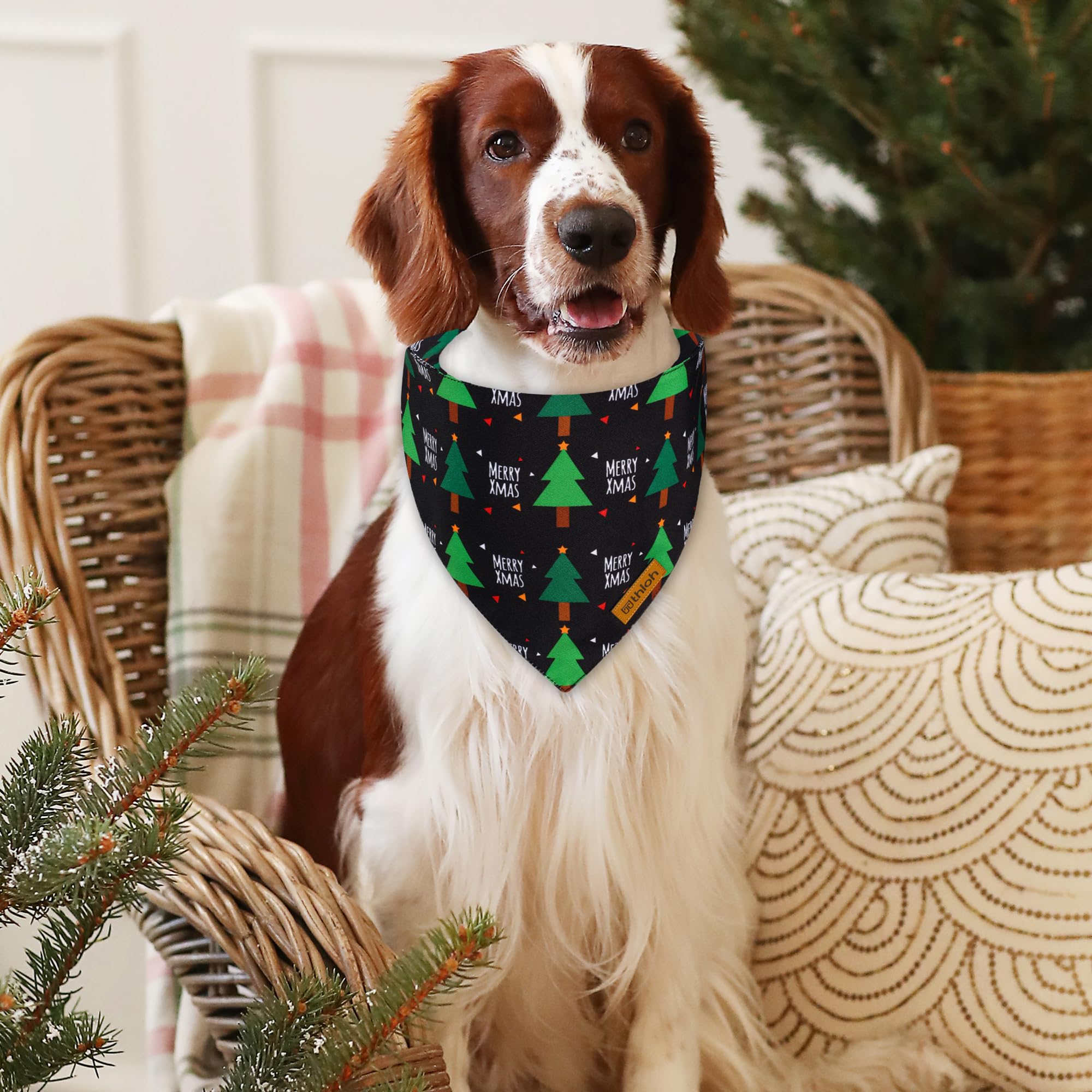 THLOH Christmas Dog Bandanas with Snap Button - 2 Pack Reversible Santa Claus Dog Scarf for Boy & Girl, Dog, Christmas Tree Holiday Bandana for Medium and Large Dogs (Large)