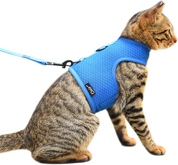 Cat Harness and Leash Set for Walking Escape Proof, Blue, X-Small