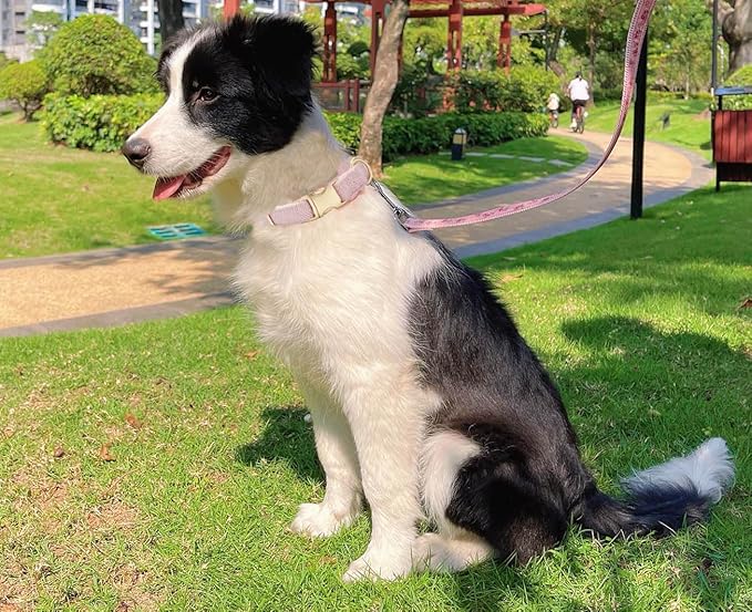 YUDOTE Soft Cotton Hemp Dog Collar with Metal Buckle Adjustable Twilled Dog Collars for Female Small Medium Large Dogs(Pink,Medium)