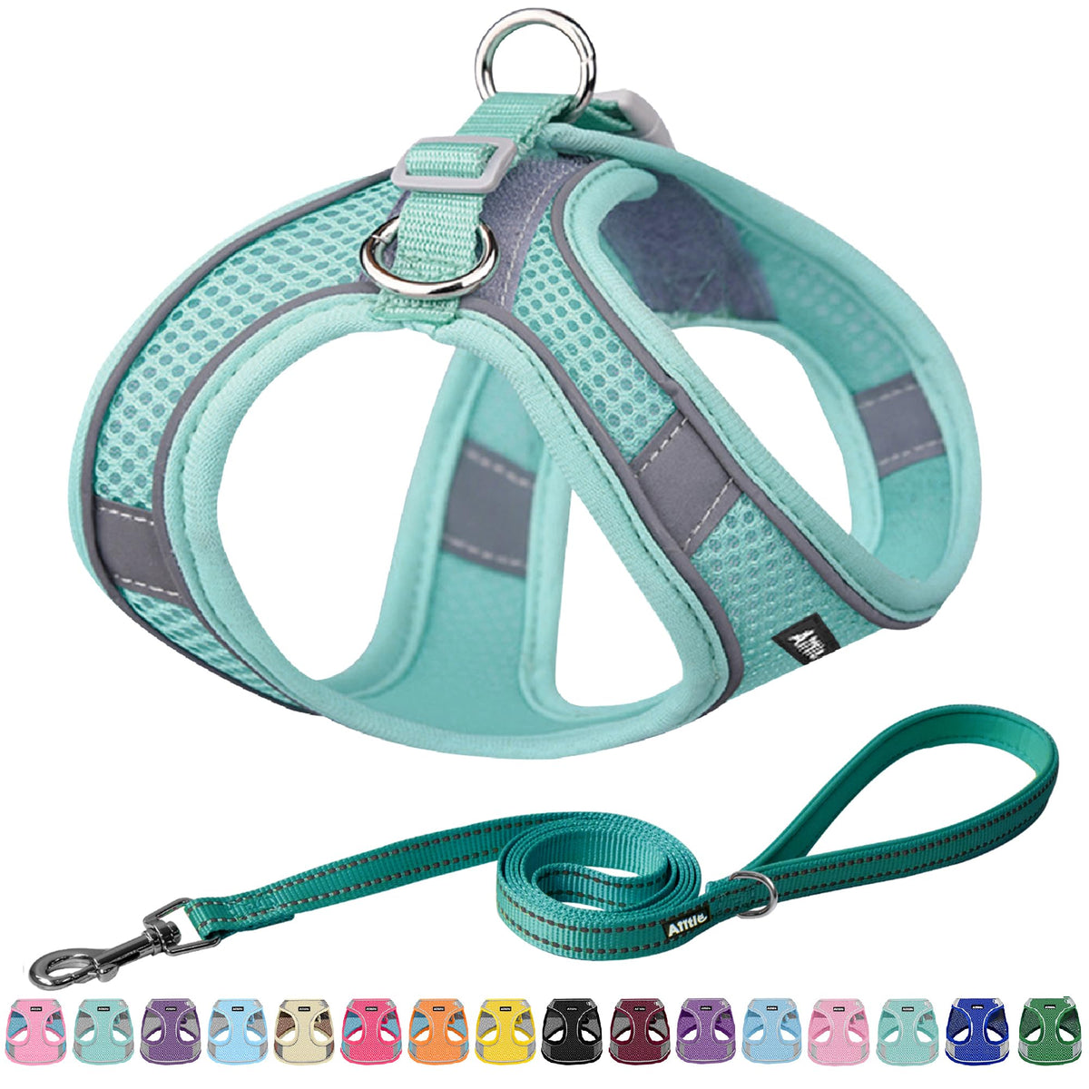 AIITLE Small Dog Harness and Leash Set, Step-in Puppy Pet Vest, Blue XS