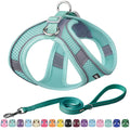AIITLE Dog Harness and Leash Set, Step-in Puppy Vest, Pure Turquoise XXXS
