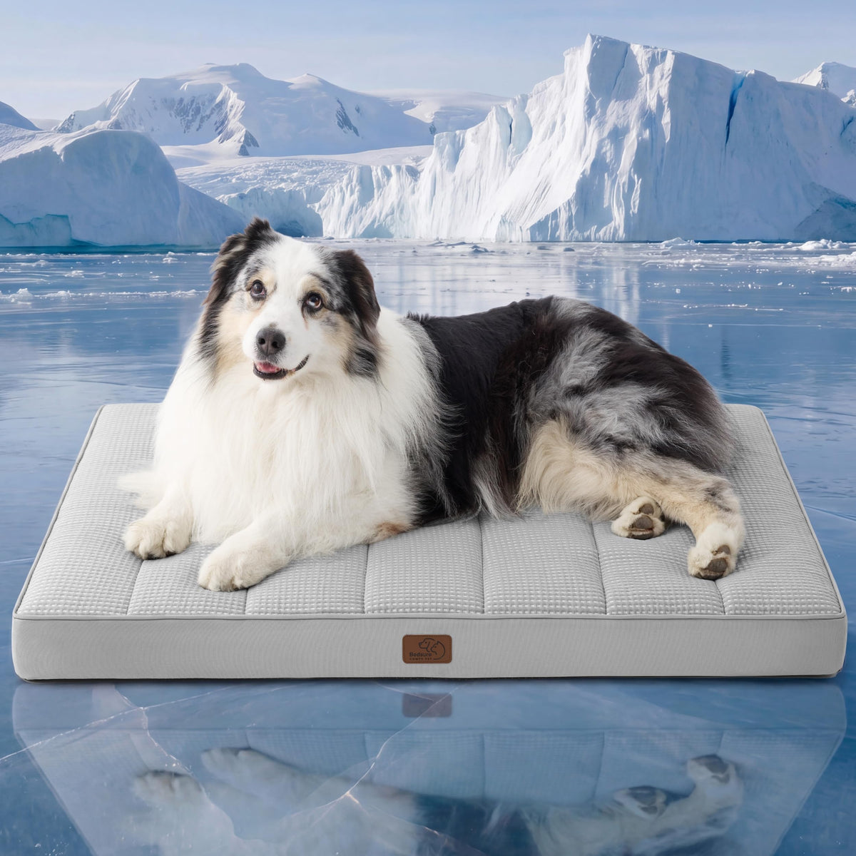 Bedsure Small Dog Bed, Cat Puppy Bed with Comfy Sherpa, 24"x16" Dark Grey