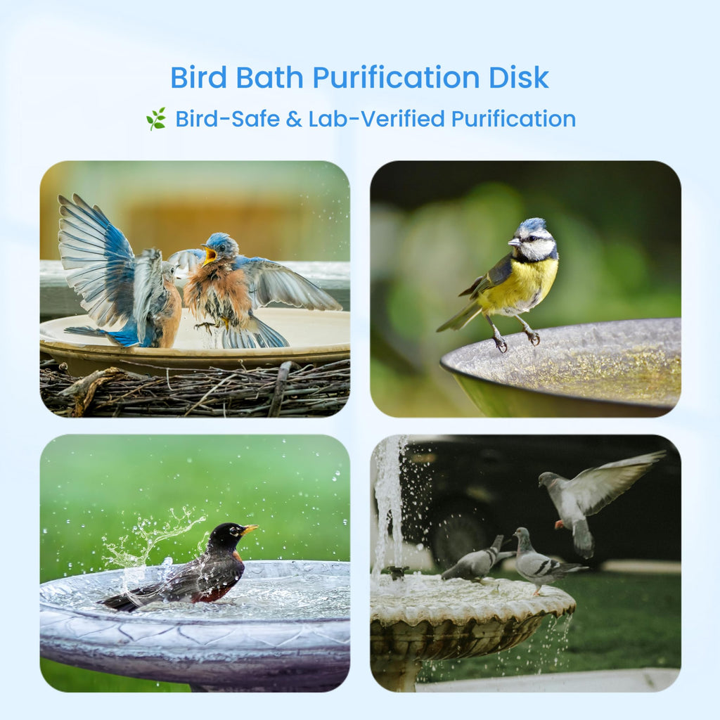 GOHUOX Bird Bath Purification Disk, 99.99% Copper Disc for Bird Bath Copper Disk Cleaner Safe for Outside Birds Fountain Disc Accessories, Fit for Outdoor Birdbath Bowl (3 pcs)