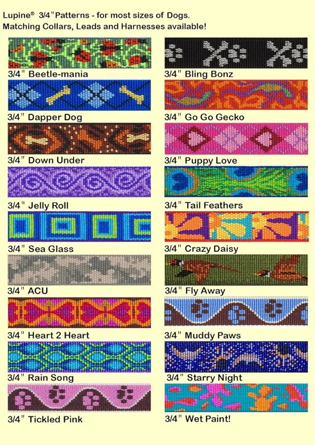 LupinePet Originals 3/4" Rain Song 15-25" Adjustable Collar for Large Dogs