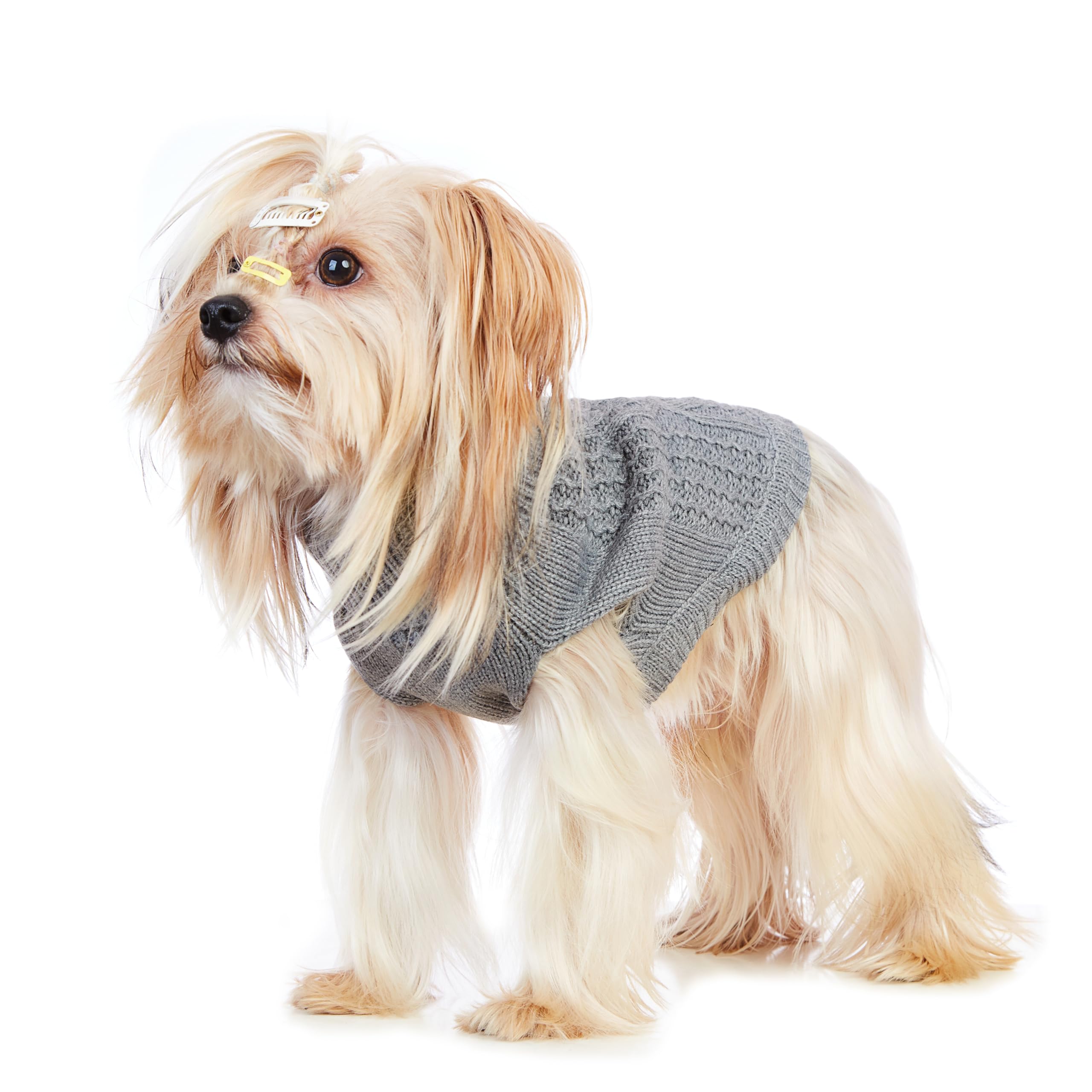 Jnancun Cat Sweater Stretchy,19 Colors,6 Sizes,Snug Winter (Grey, Large, Vest)