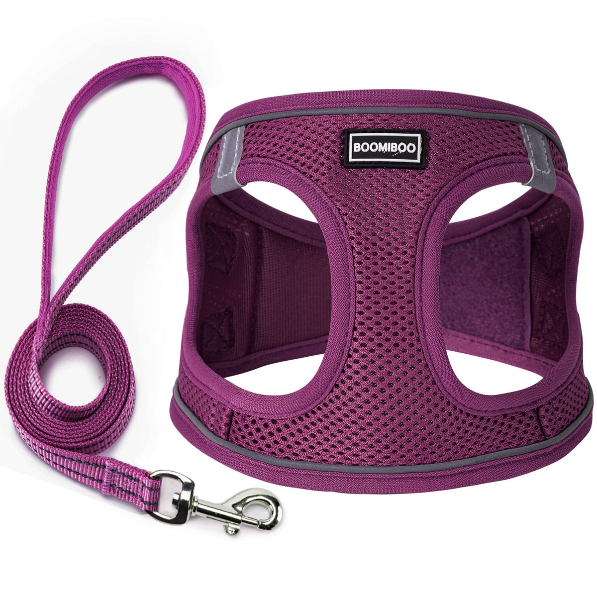 Dog Harness with Leash Set,Step-in Adjustable Puppy Pet Vest,Blue Stripe XS