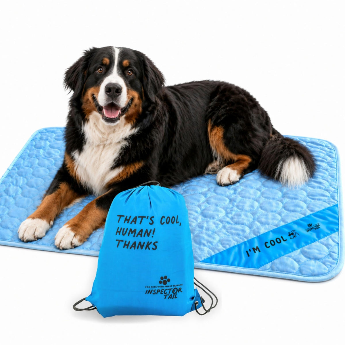 INSPECTOR TAIL Dog Cooling Mat, Indoor & Outdoor, Medium Self Cooling Pad