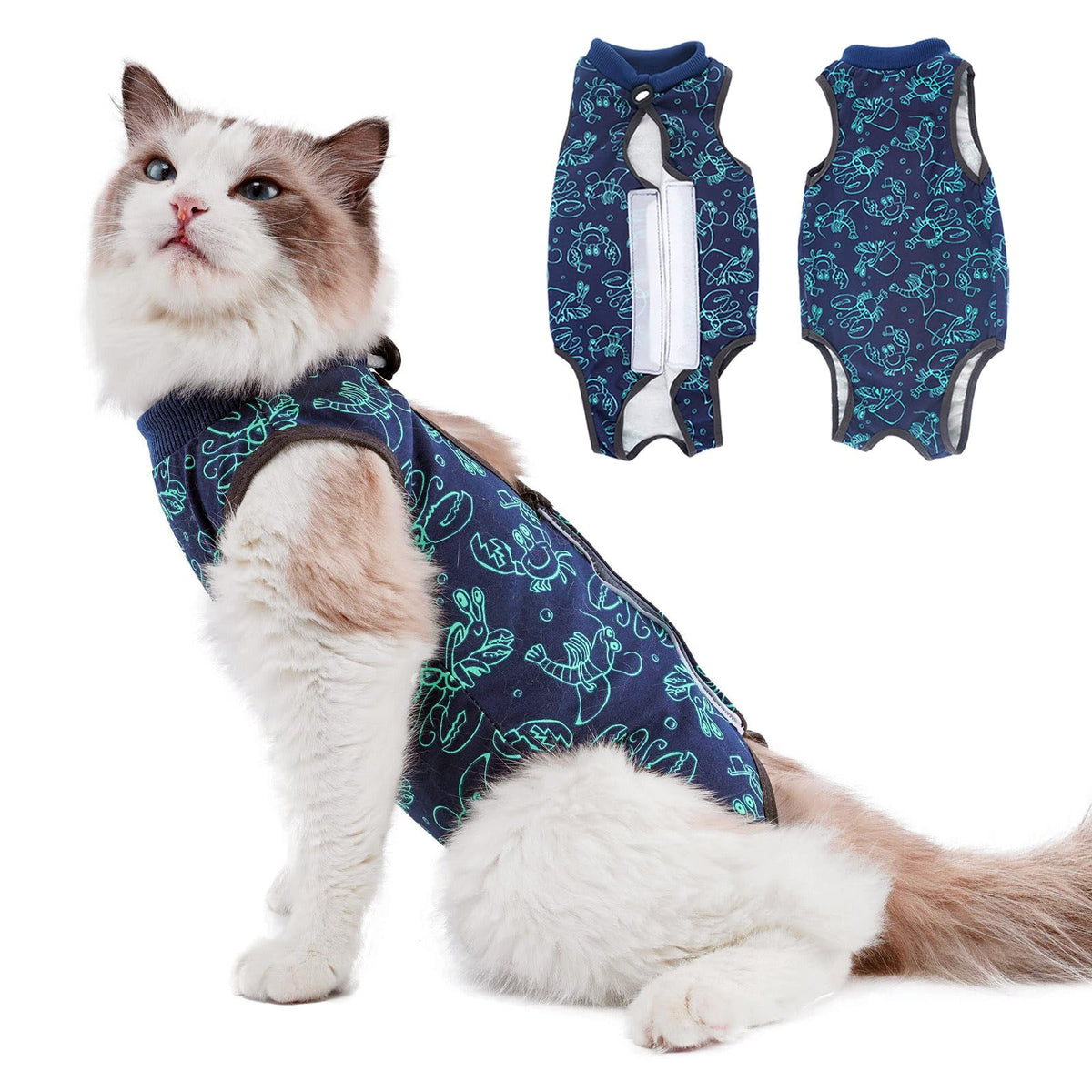 kzrfojy Cat Surgery Recovery Suit Cat Onesie for Cats After Surgery Spay Surgical Abdominal Wound Skin Diseases E-Collar Alternative Wear (Pruple-M)