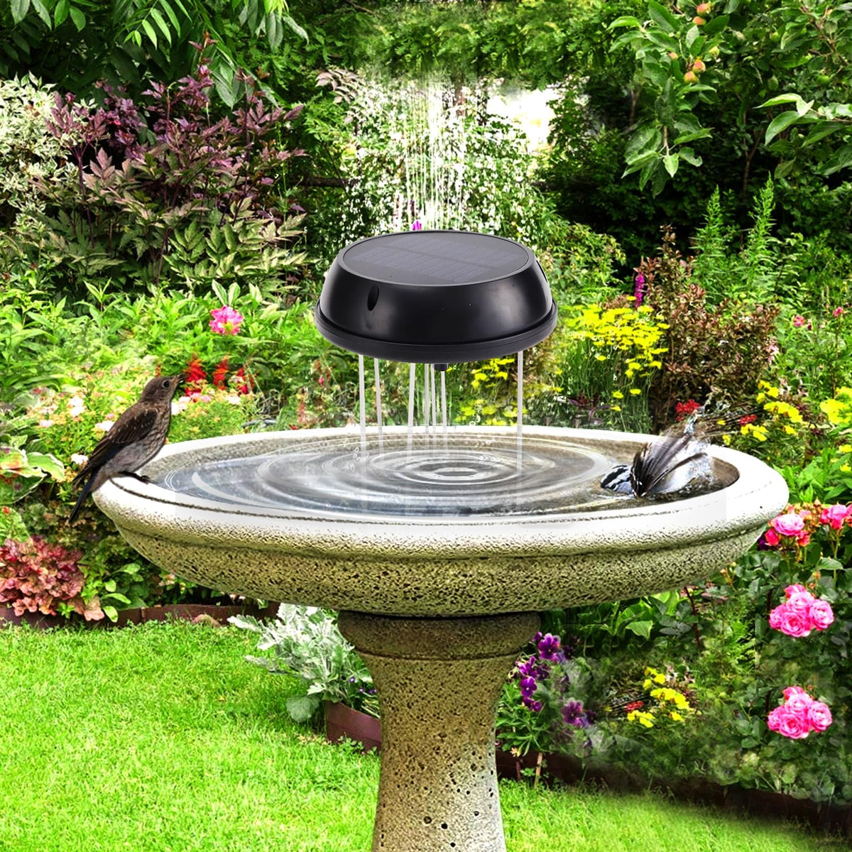 Solaceura Solar Bird Bath Bubbler, Water Wiggler for Bird Bath, Solar‑Powered Outdoor Water Agitator, Creates Gentle Water Ripples to Attract Wild Birds for Garden Bird Bath,Prevent Water Pooling