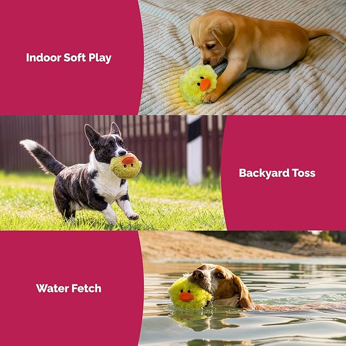 PetLou D.O.G'Z 4-inch EZ Squeaky Chick Dog Plush Toy,Durable Squeaks Bouncy Ball Dog Toy