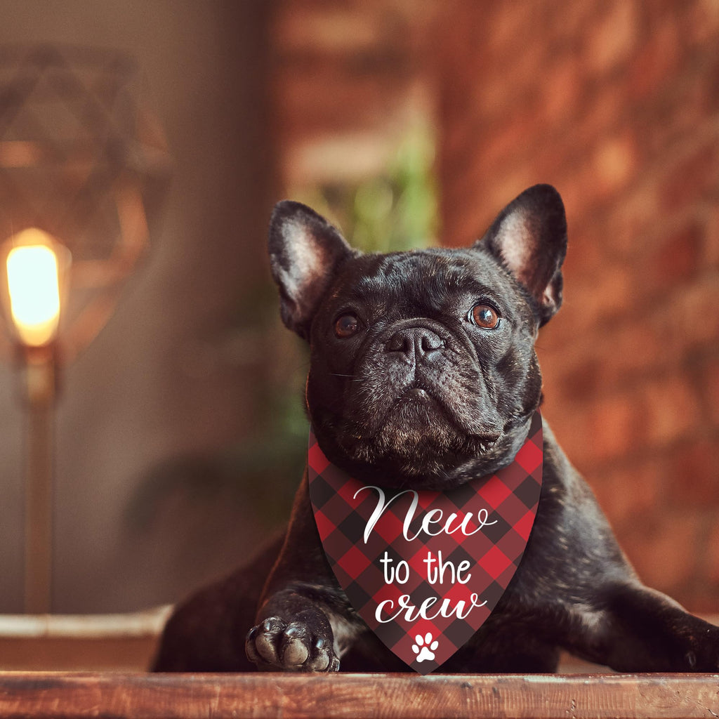 New Puppy Announcement Dog Bandana, Adopted Puppies Reveal Gift for Owner, Dogs Birthday Supplies Gifts, Triangle Bibs Scarf for Medium Pets (Red)
