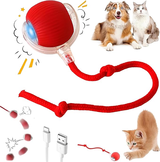 Interactive Electric Automatic Rolling Moving Rechargeable Self Play Stimulation Toy,Smart Pet Chase with Speedy Tail Rope for Bored Indoor Cats (Blue)