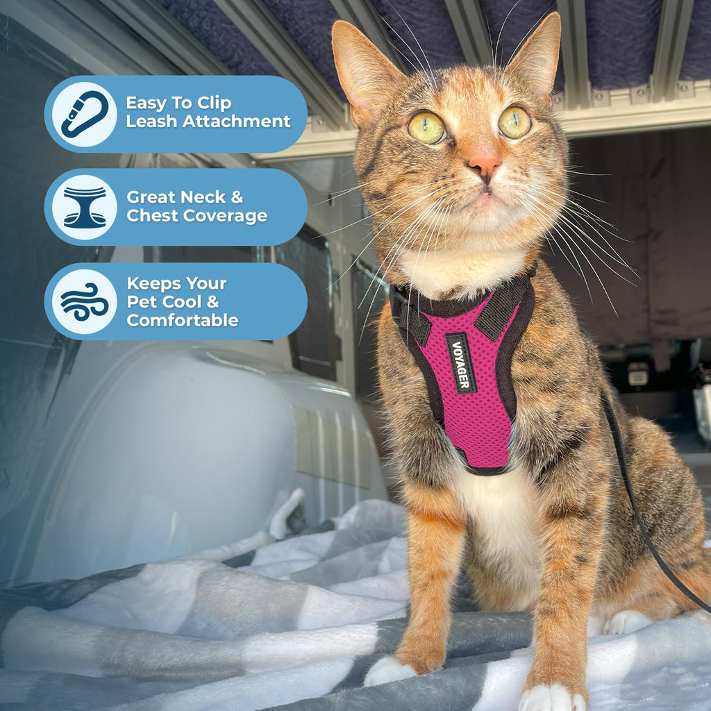Voyager Escape-Proof Step-in Lock Cat Harness & 5ft Neoprene-Handle Leash Set All-Weather Mesh with Reflective Stitching for Small to Large Cats by Best Pet Supplies, Fuchsia/Black Trim, S