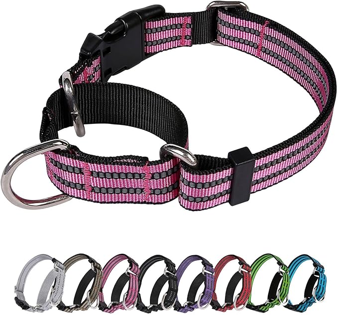 JOYEEIIOO Martingale Dog Collar, Adjustable Nylon Reflective Collar with Quick Release Buckle, No Pull Dog Training Collars for Small Medium Large Dogs (Pink, M)