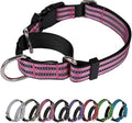 Martingale Dog Collar, Adjustable Nylon Reflective Collar with Buckle No Pull Dog Collar for Small Medium Large Dogs (Pink S)