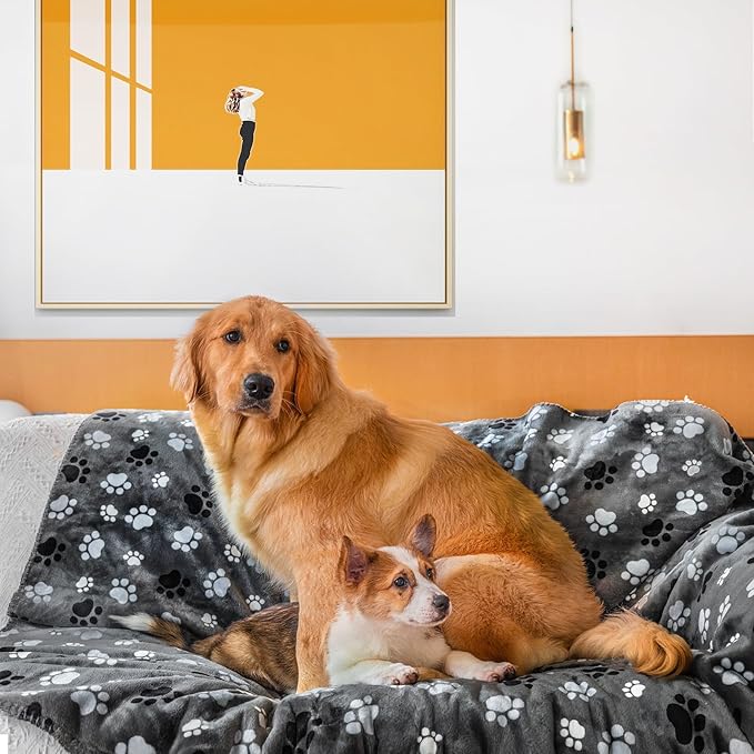 AIWEK Waterproof Pet Blanket Dog Blankets, Pattern Printing Super Soft Warm Fluffy Facecloth Sofa Car Bed Protector, Urine Proof Washable Outdoor Pet Blanket for Puppy Large Dogs & Cats 40 * 30 inch