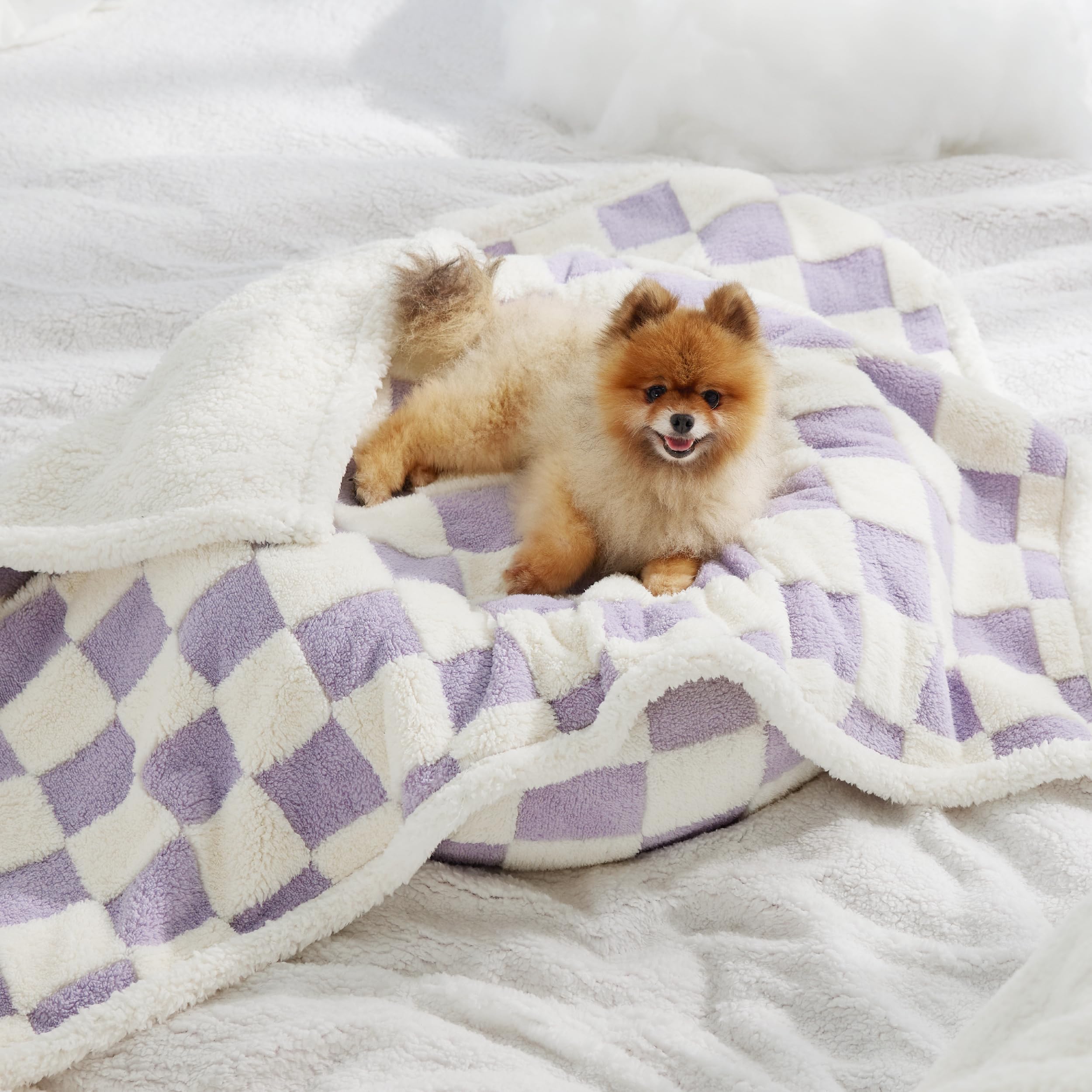LE SURE Waterproof Dog Blankets for Small Dogs Cute Cozy 3D Jacquard,25x35