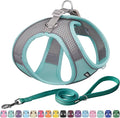 AIITLE Dog Harness, No-Pull Cat Harness with a Leash, Adjustable Reflective Dog Vest, Cat Harness Escape Proof, Outdoor Walking, Running,Training for Extra Small Dogs and House Cats Turquoise XXXS