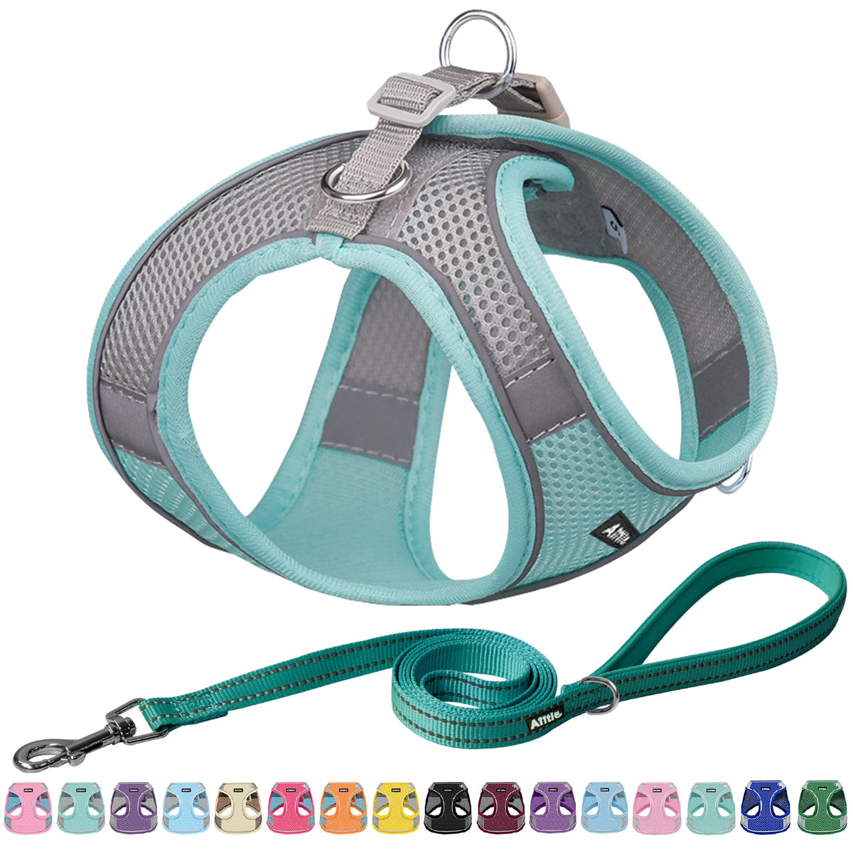 AIITLE Small Dog Harness and Leash Set, Step-in Puppy Pet Vest, Blue XS