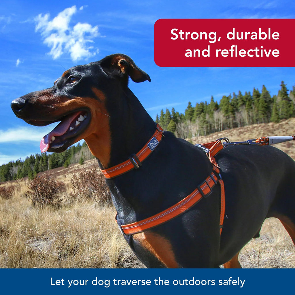 Coastal Pet K9 Explorer Reflective Adjustable Dog Collar - Comfortable Collar for the Outdoors - Durable, Lightweight Accessory with Side-Release Buckle - Campfire Orange, 1" x 18-26"