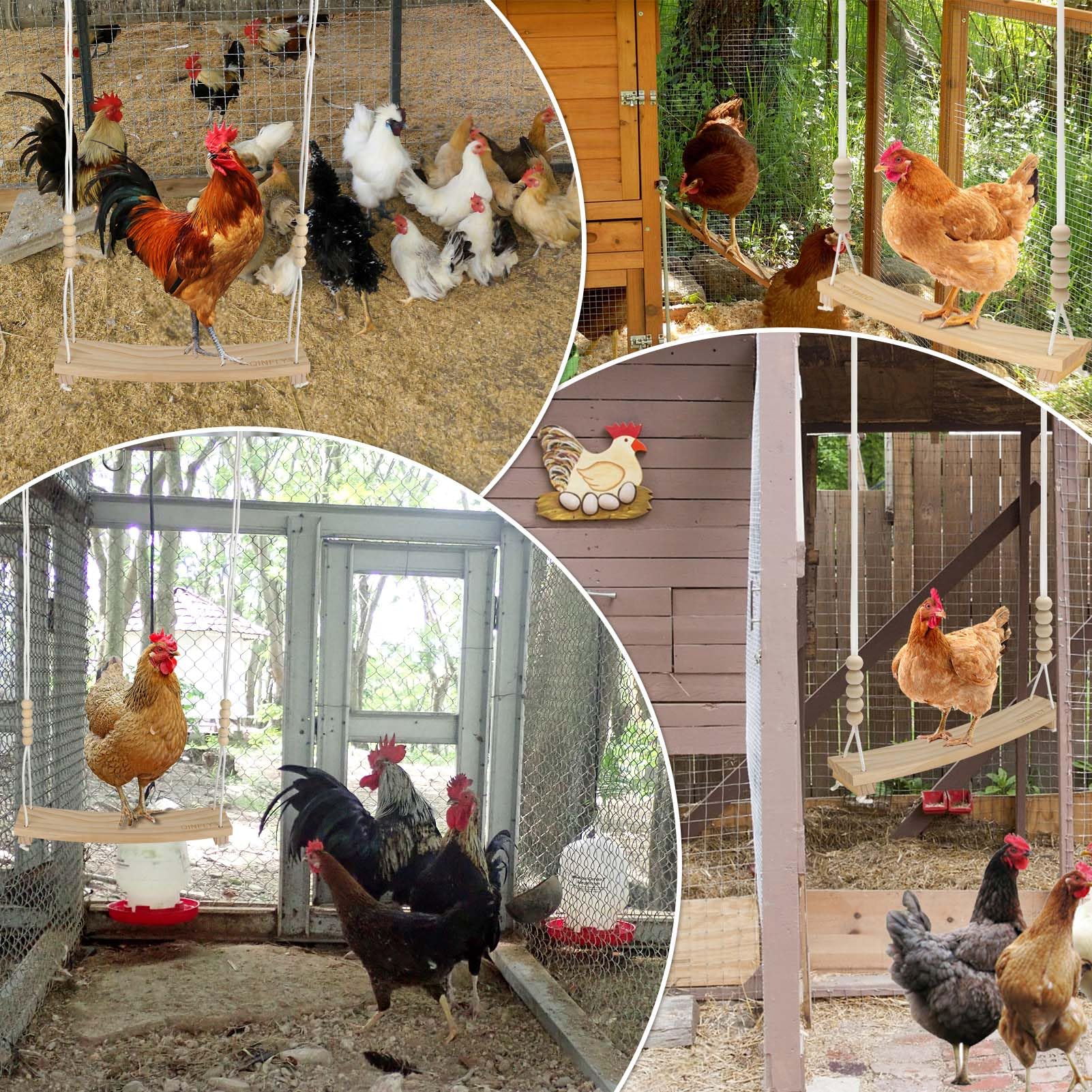 Qinfly Arc-Shaped Chicken Swing Enrichment Toys for Coop Accessories