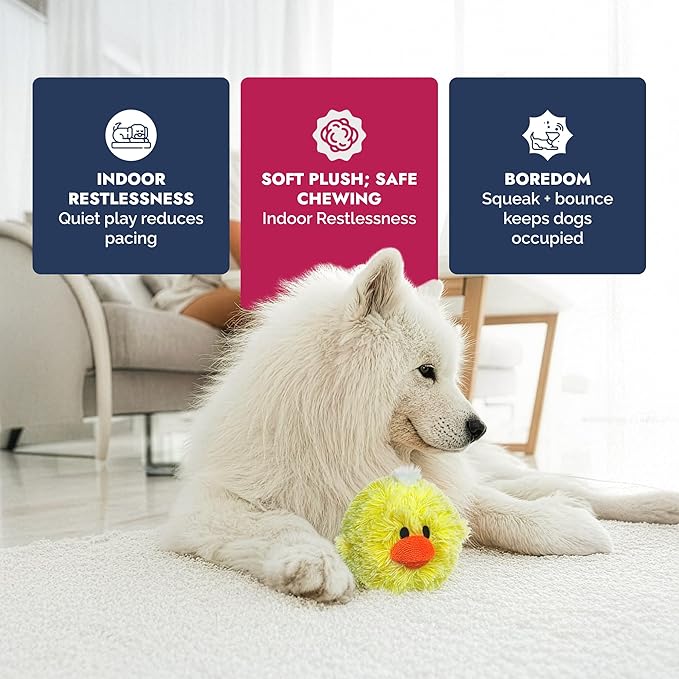 PetLou D.O.G'Z 4-inch EZ Squeaky Chick Dog Plush Toy,Durable Squeaks Bouncy Ball Dog Toy