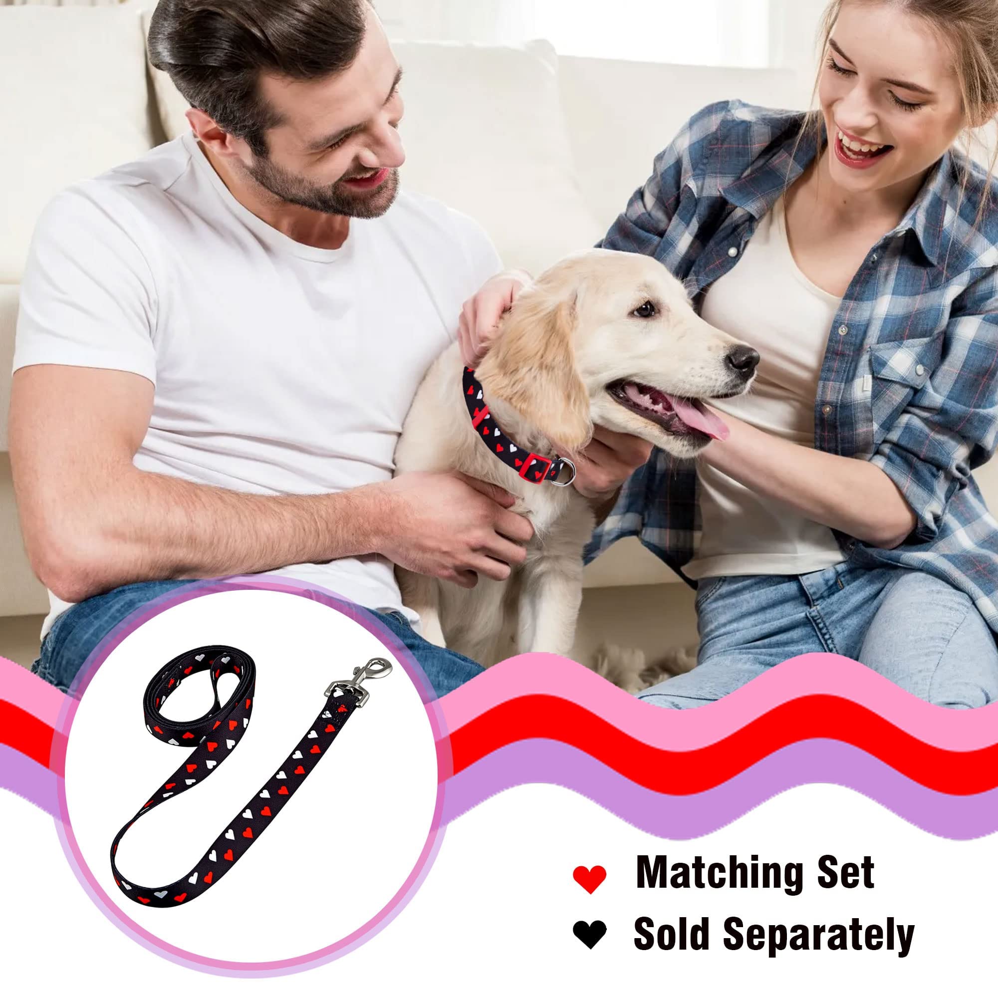 Native Pup Valentine’s Dog Collar- Valentines Day Pet Collars- Valentine Girly Hearts- Pink Red Heart- Cute Boy Girl Puppy Gift- Adjustable for Small, Medium, Large Breeds (White & Red Hearts, Small)