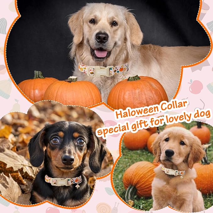 Astdogio Fall Woodland Dog Collar, Playful Squirrel & Pumpkin Print on White Collar for Small Medium Large Dogs, Breathable, Adjustable & Comfortable Puppy Collar for Fall Walks & Pet Photos-XS