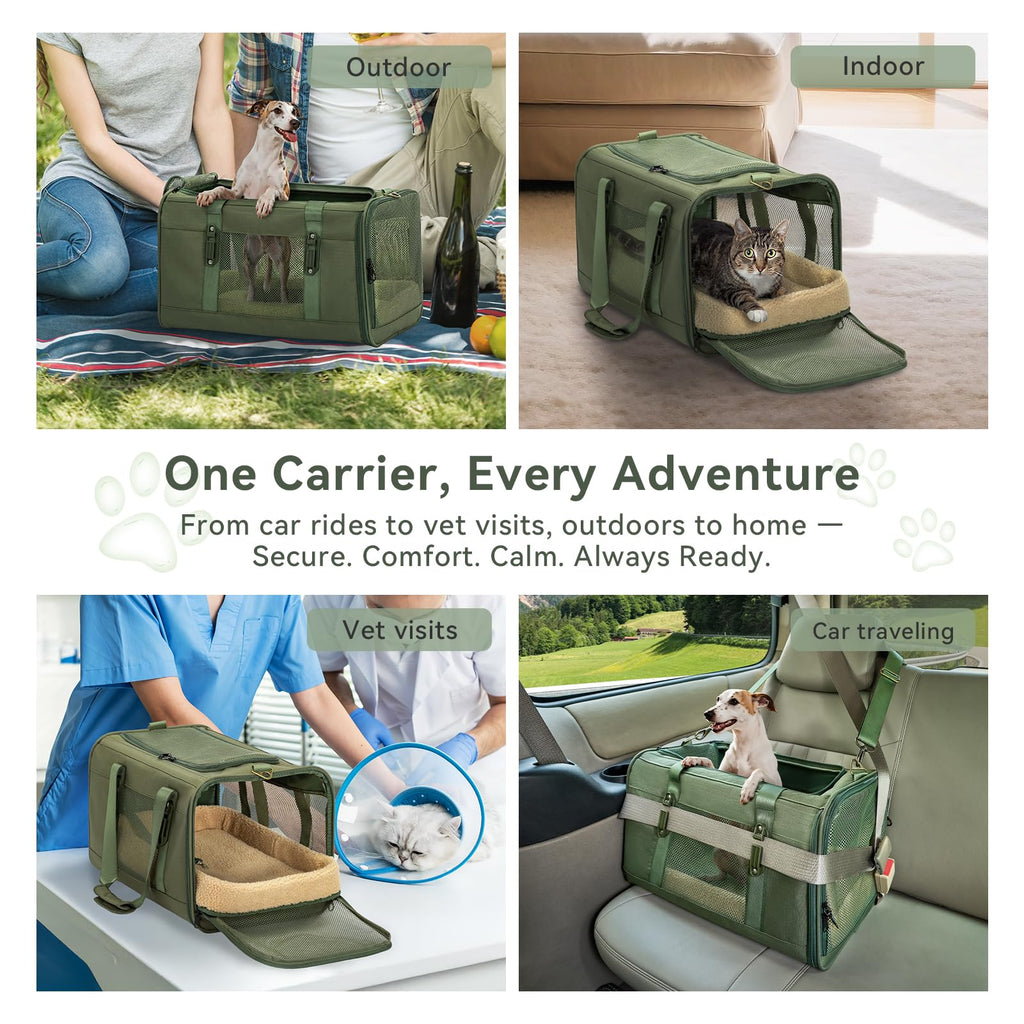 Petsfit 19x12x12 Pet Carrier for Large Cats (up to 20 lbs), Soft-Sided Small Dog Travel Carrier, Upgraded with Patented Buckle and Soft Padding, Ideal for Car Road Trips Green