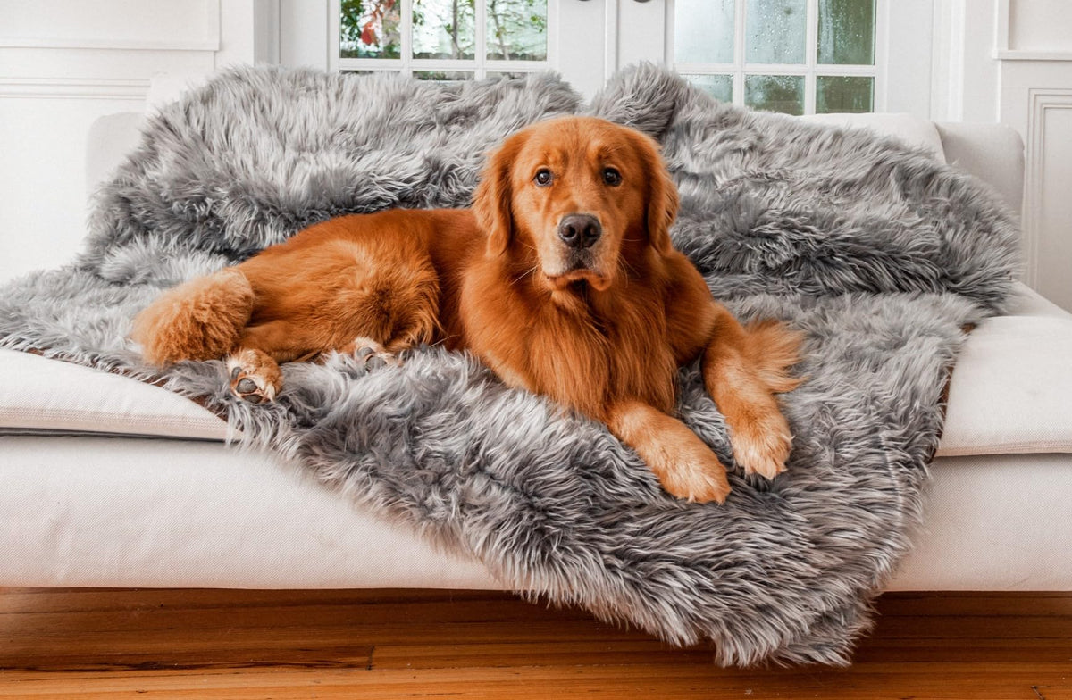 PAW BRANDS PupProtector Waterproof Throw Blanket, Polar White, 80x62
