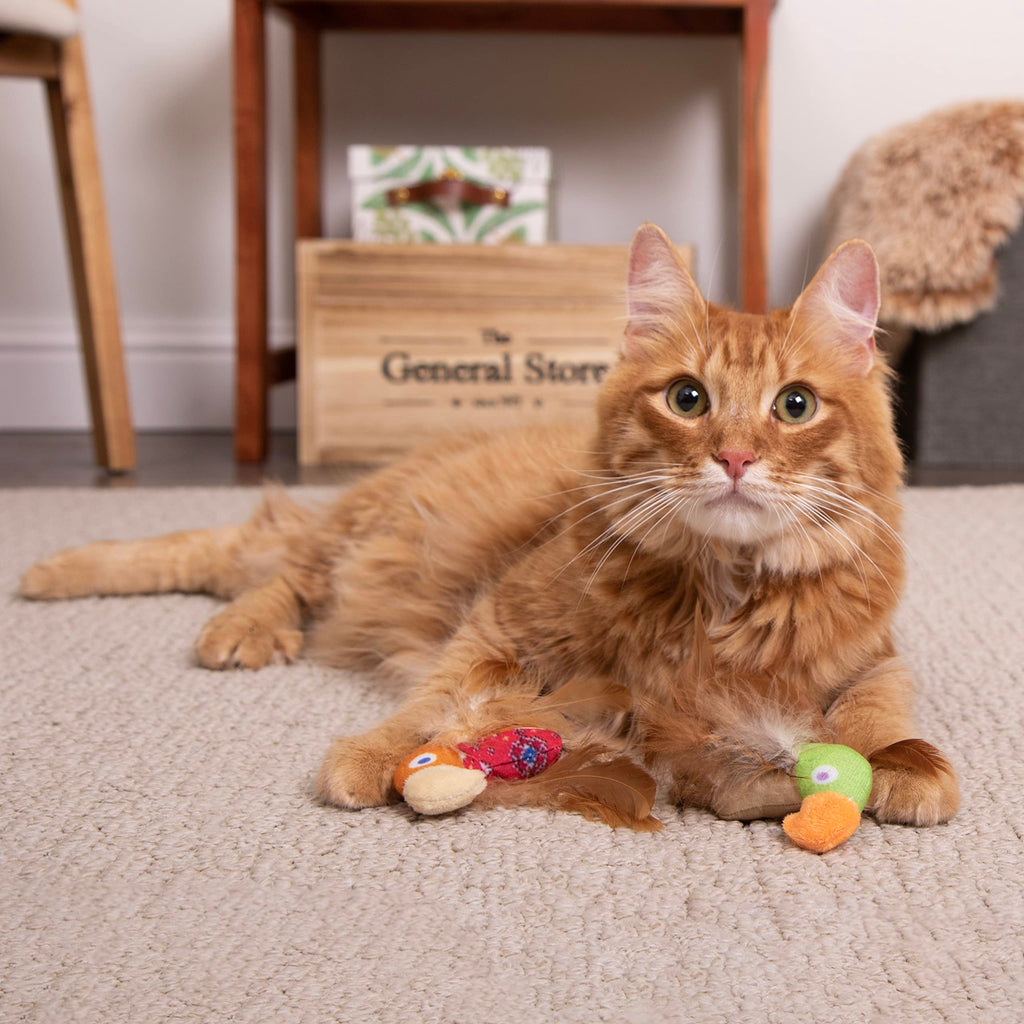 Instincts by SmartyKat 2-Pack HappyNip Love Mates Feather Birds Plush Cat Toys, Contains Catnip & Silvervine - Orange/Green, 2-Pack