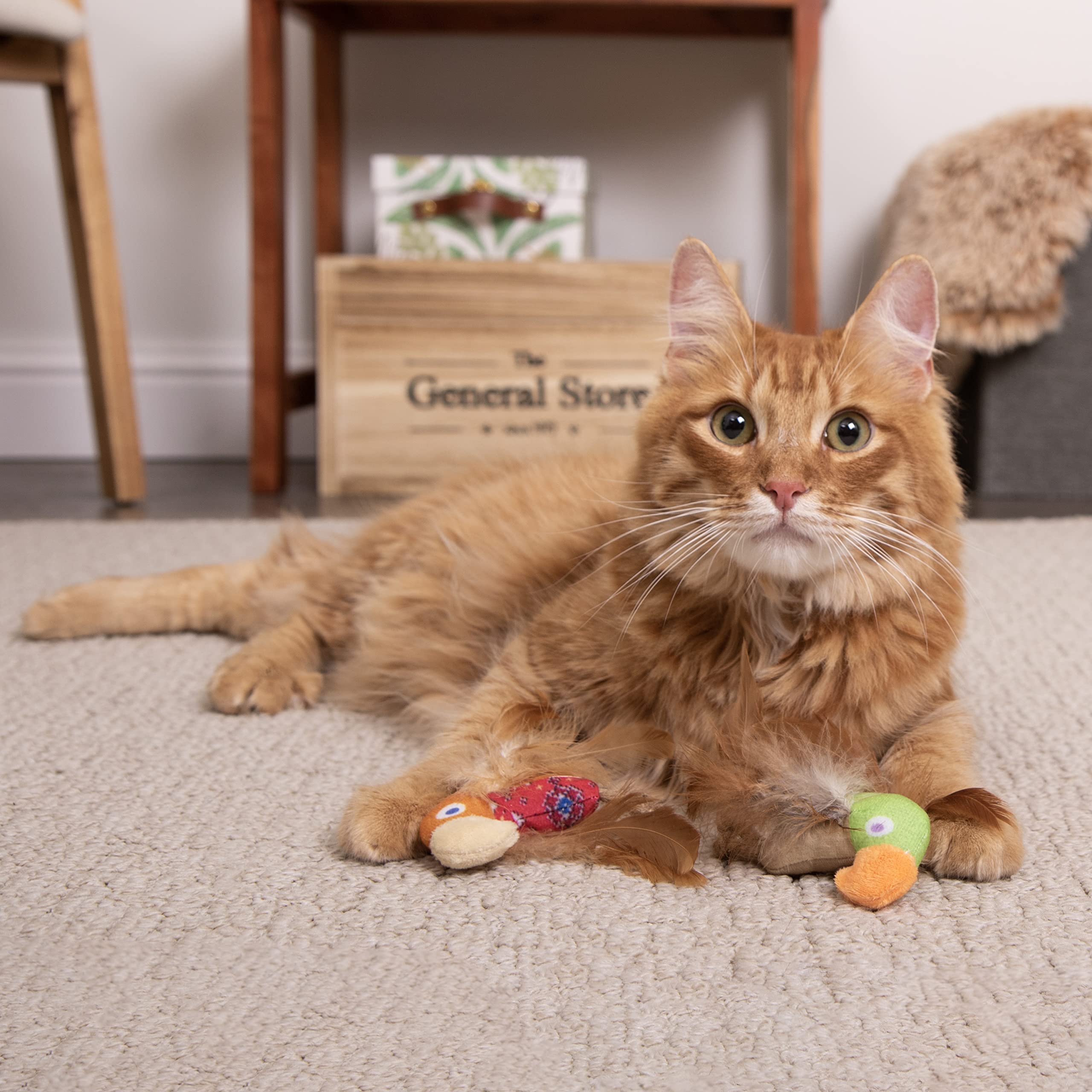 Instincts by SmartyKat 2-Pack HappyNip Love Mates Feather Birds Plush Cat Toys, Contains Catnip & Silvervine - Orange/Green, 2-Pack