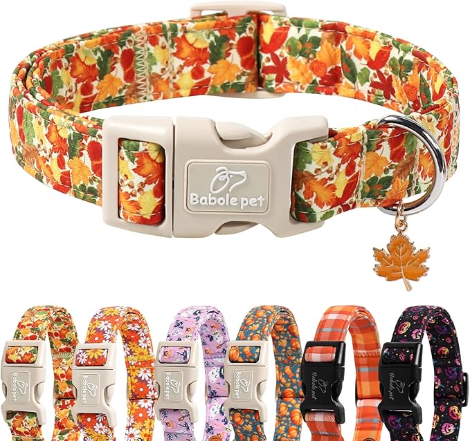Babole Pet Fall Dog Collar Cute Autumn Leaves Puppy Collar - Light Comfortable Adjustable Pet Collars for Small Medium Large Girl Boy Dogs XS