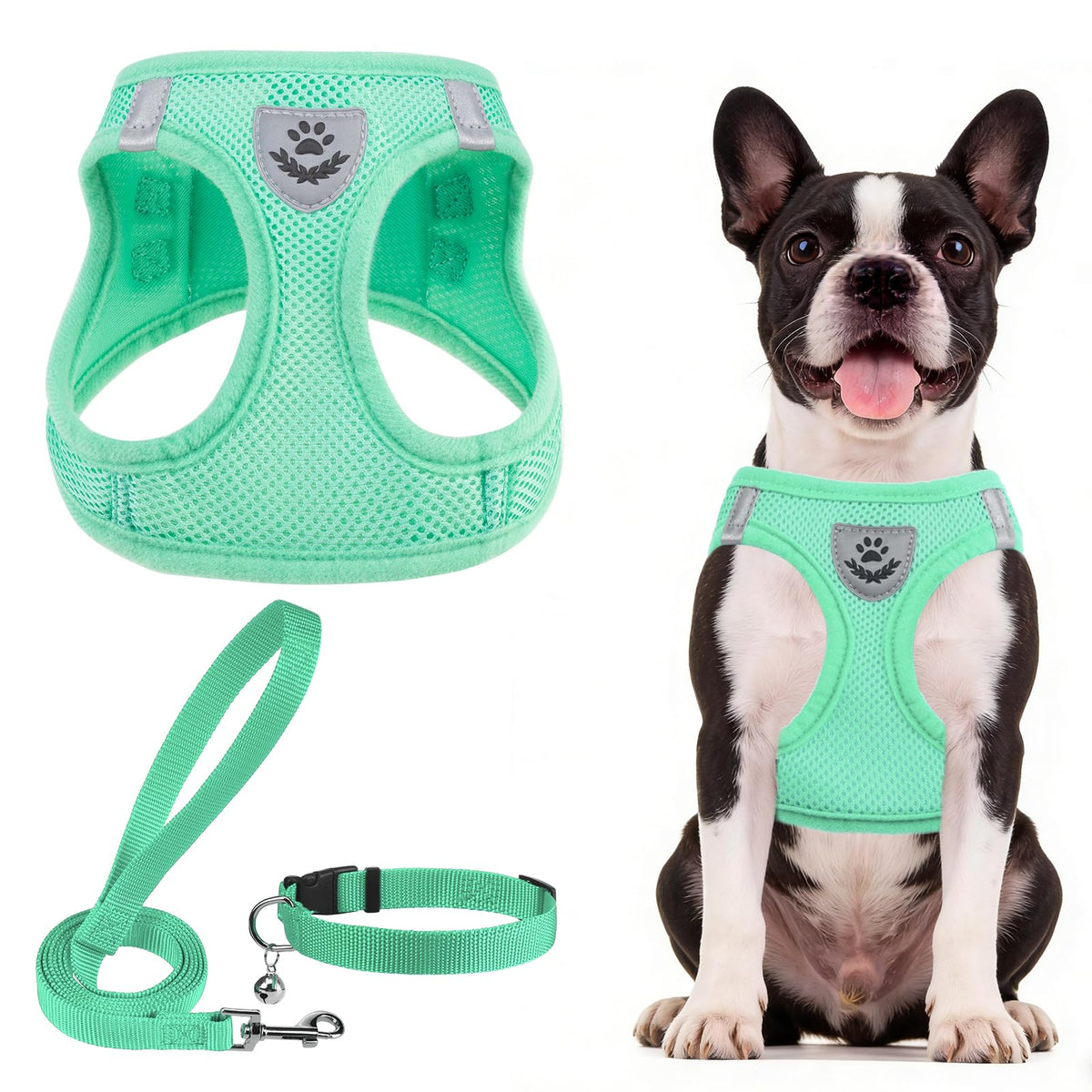 PUPTECK Dog Harness, Collar and Leash Set No Pull for Small Medium Sized