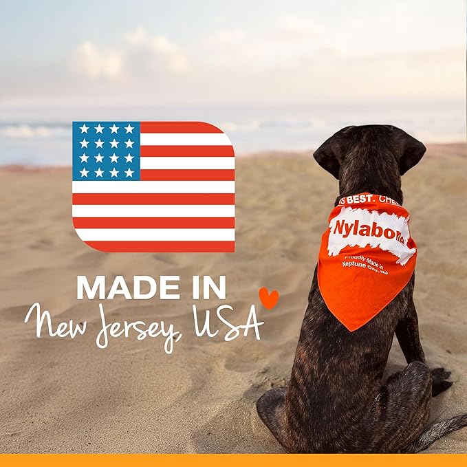 Nylabone Textured Ring Power Chew Toy for Large Dogs, Durable Dog Toys for Aggressive Chewers, Strong Dog Chew Bones To Keep Them Busy, Flavor Medley, X-Large - 50+ lbs, 1 Count
