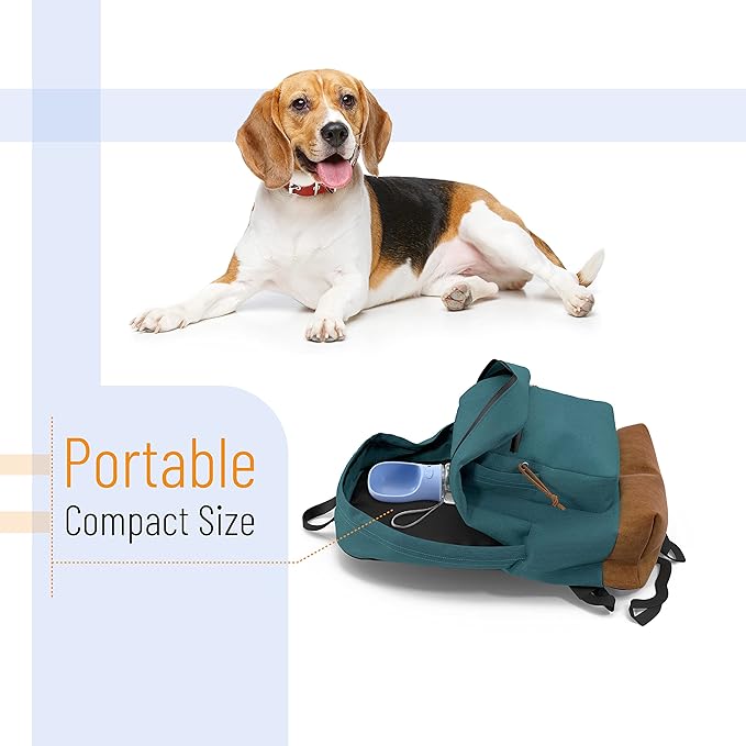 Mr. Pen- Portable Dog Water Bottle, 19 oz, Large
