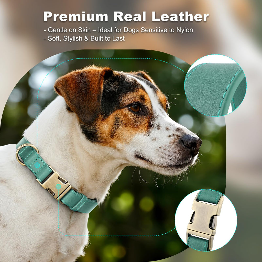Plutus Pet Genuine Leather Dog Collar, Adjustable and Skin-Friendly