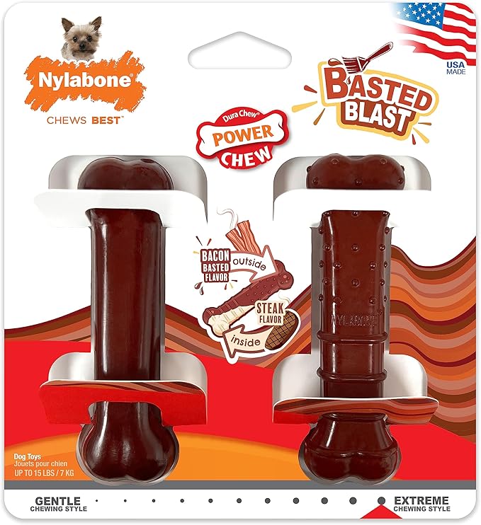 Nylabone Power Chew Basted Blast Dog Chew Toys, X-Small, 2 Count