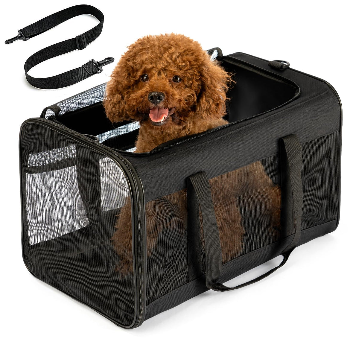 Conlun Dog Carrier Bag,Soft-Sided Pet Carriers for Dogs-L,Black