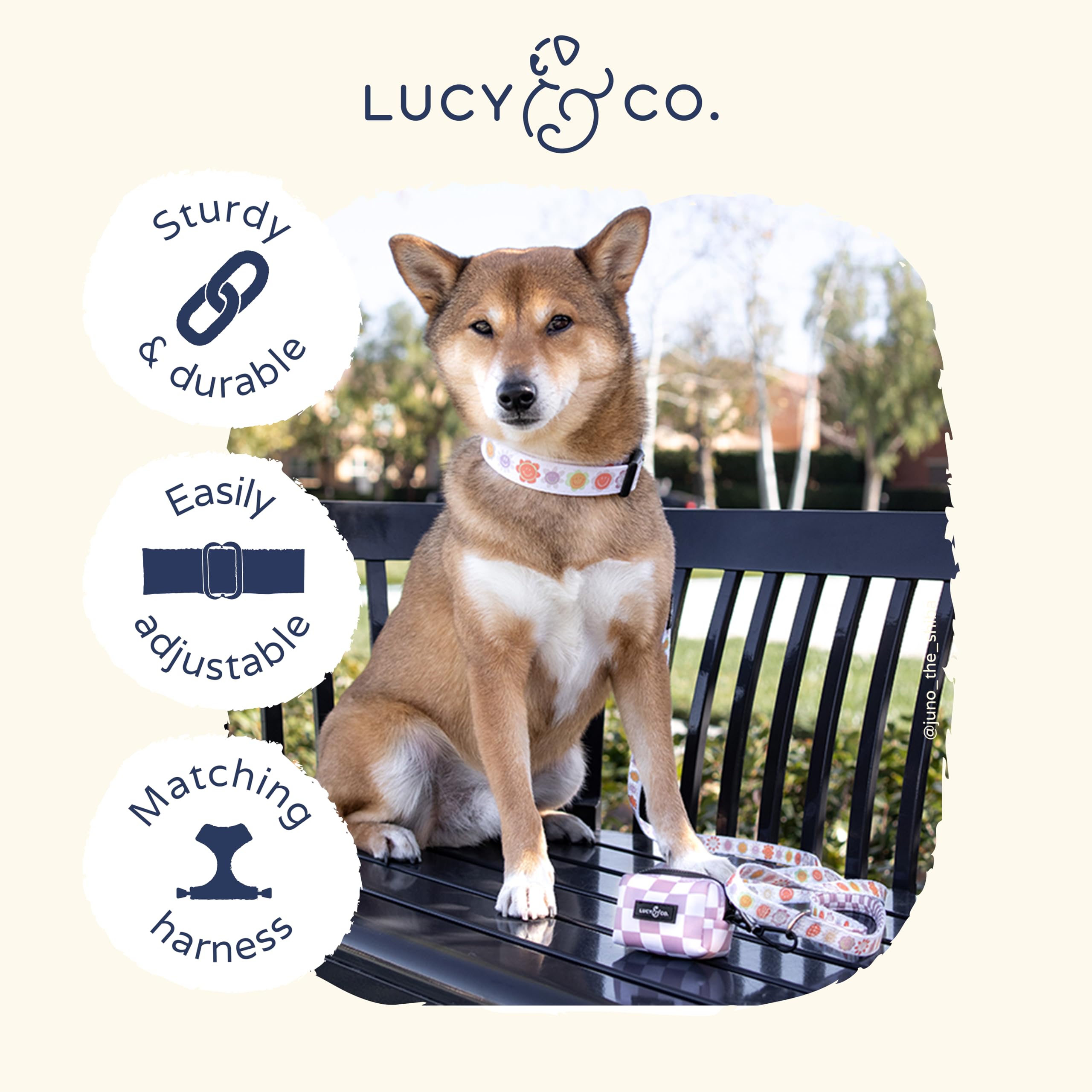 Lucy & Co. Ballet Bows Dog Collar - Durable Lightweight Designer Collar for Pets - Adjustable Metal Safety Buckle - White & Pink Bows - Large