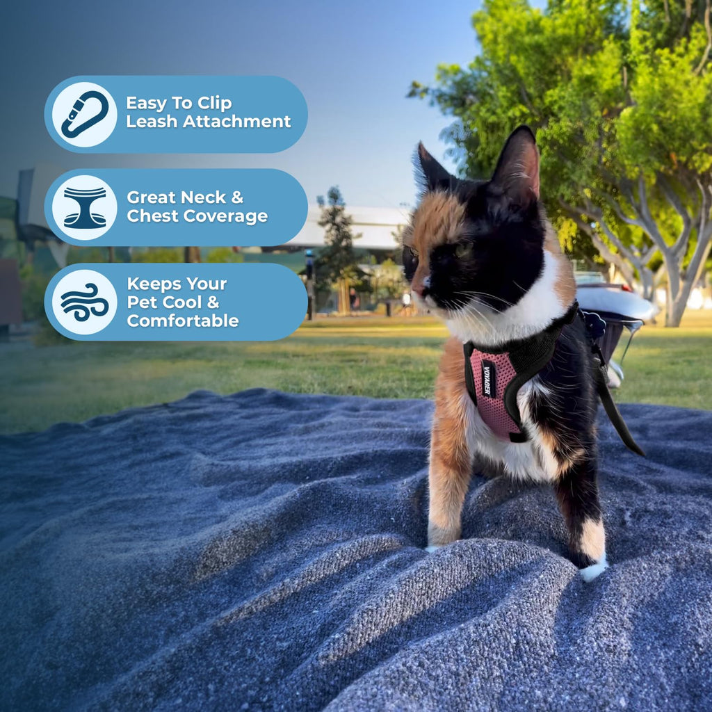 Voyager Escape-Proof Step-in Lock Cat Harness & 5ft Neoprene-Handle Leash Set All-Weather Mesh with Reflective Stitching for Small to Large Cats by Best Pet Supplies, Pink/Black Trim, XXXS