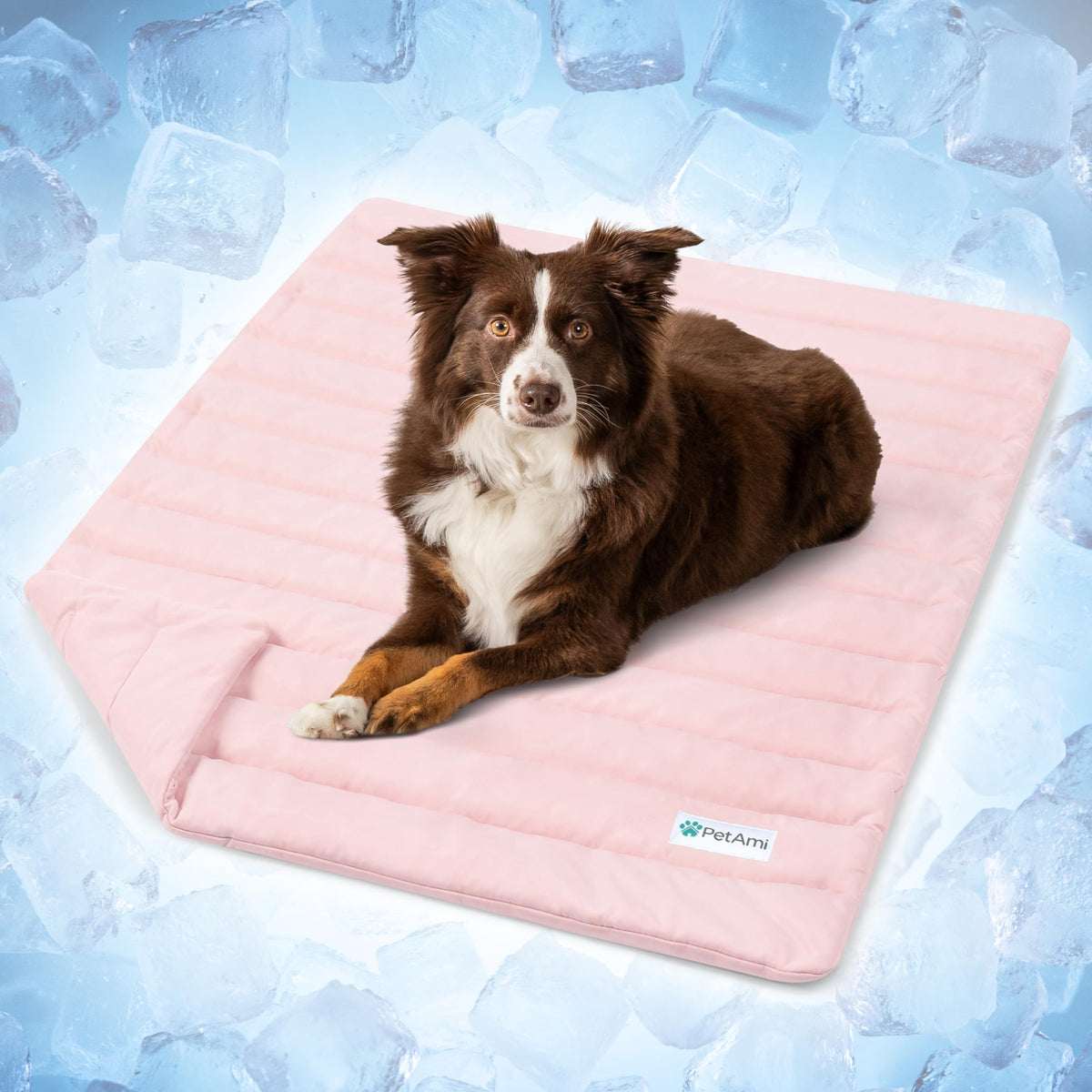 PetAmi Dog Cooling Mat Blanket Pet Pad for Small Medium Cat, Small, 24x32