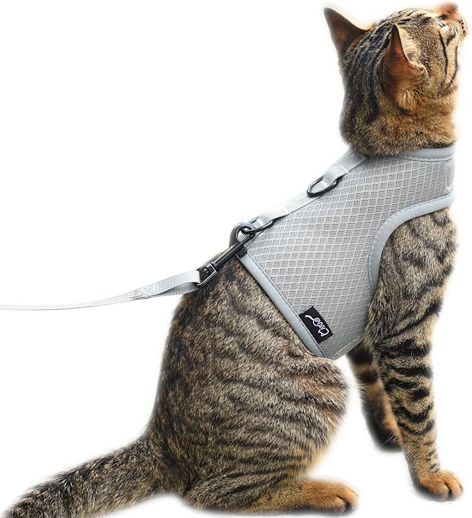 Cat Harness and Leash Set for Walking Escape Proof, Grey, Extra Large