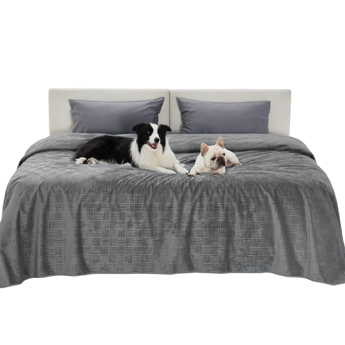Bedsure Waterproof Couch Cover for Sofa and Dogs Quick Drying, 30x70IN