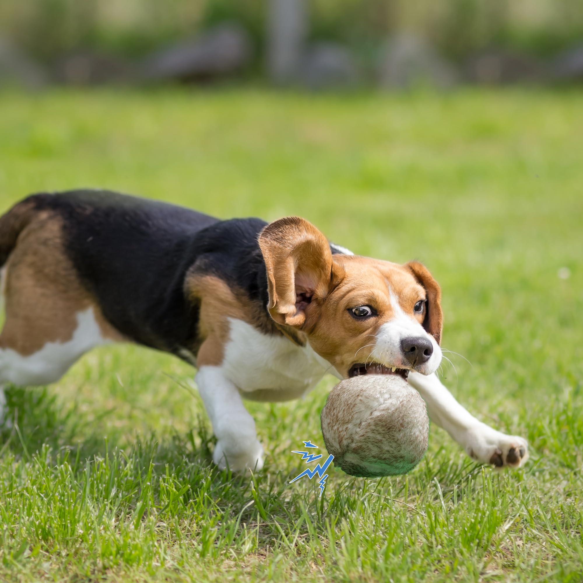 Nocciola Wobble Giggle Ball for Dogs, Interactive Dog Toys for Boredom, Squeaky Ball Dog Toys to Keep Them Busy, Pet Toys for Small Medium Large Dogs, Fun Giggle Sounds When Rolled or Shaken (S)